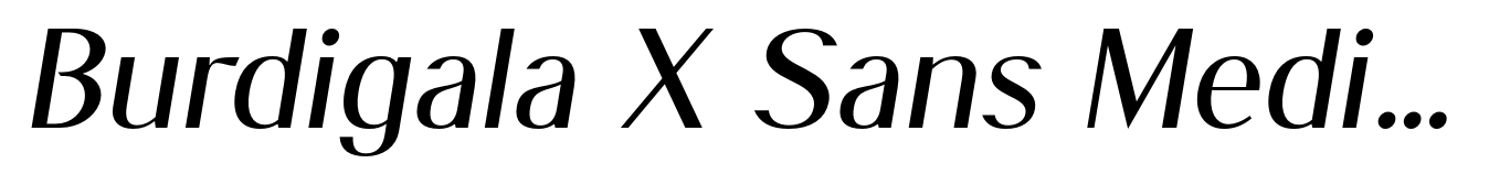 Burdigala X Sans Medium Italic